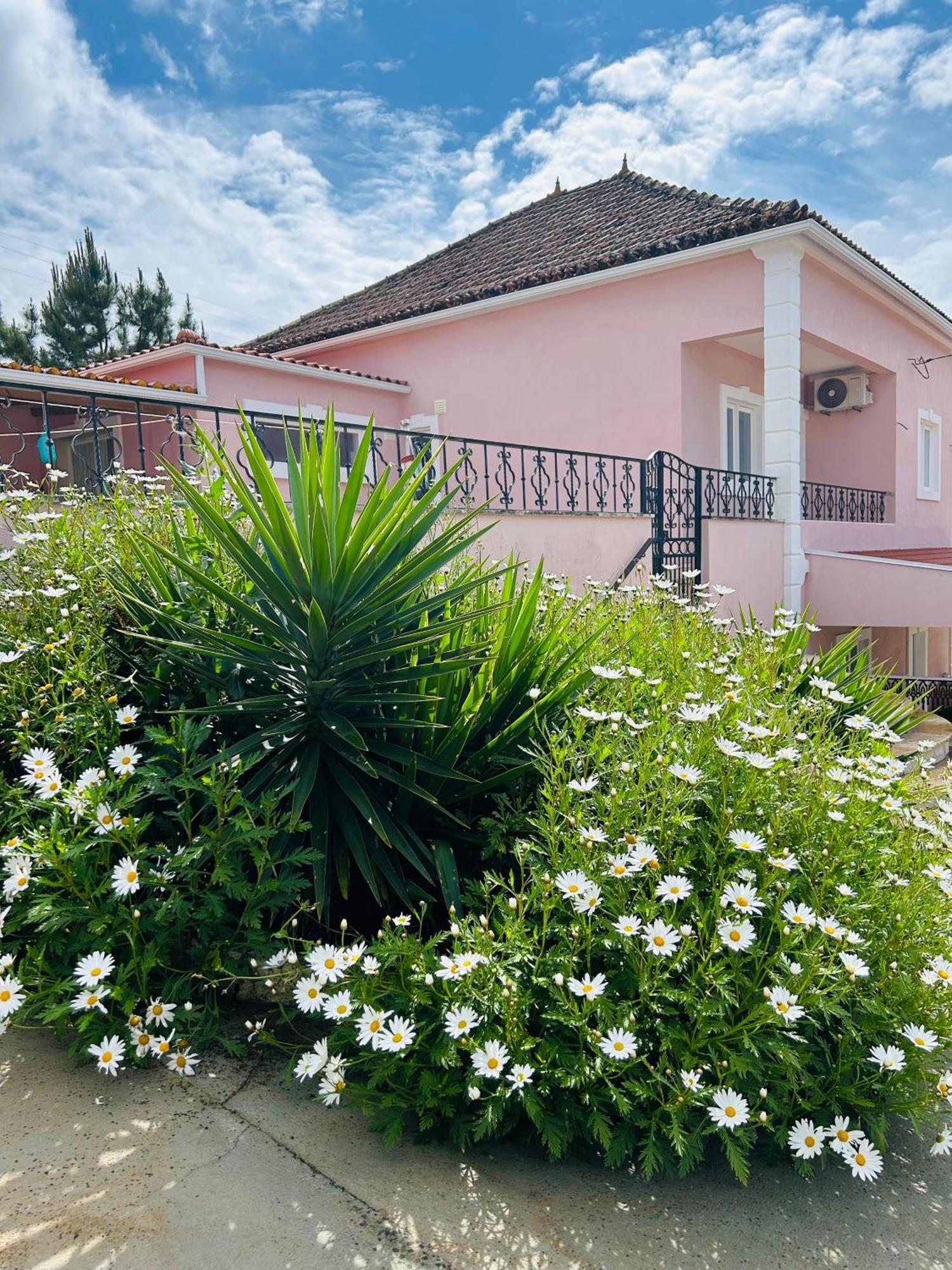 Mae Home Story Caldas Da Rainha Extérieur photo